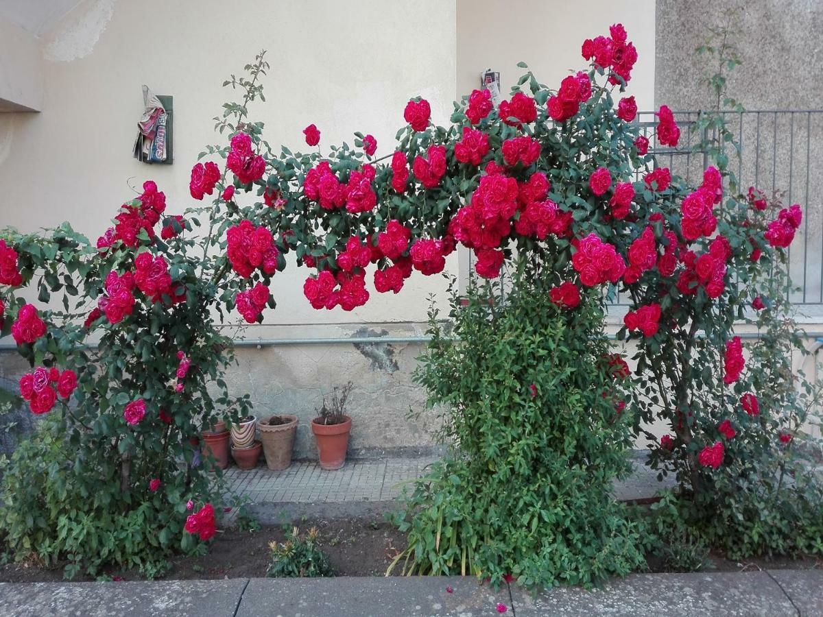 Casa Sciotto Linguaglossa Exterior foto
